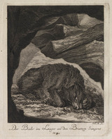 KG 01075
          <br/>
          Entwurf einiger Thiere. Dritter Theil. (18 bladen)
          <br/>
          <em>Ridinger, Johann Elias (1698-1767)</em>